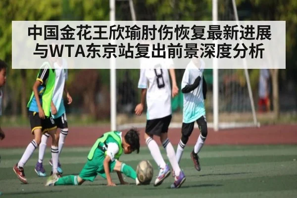 中国金花王欣瑜肘伤恢复最新进展与WTA东京站复出前景深度分析