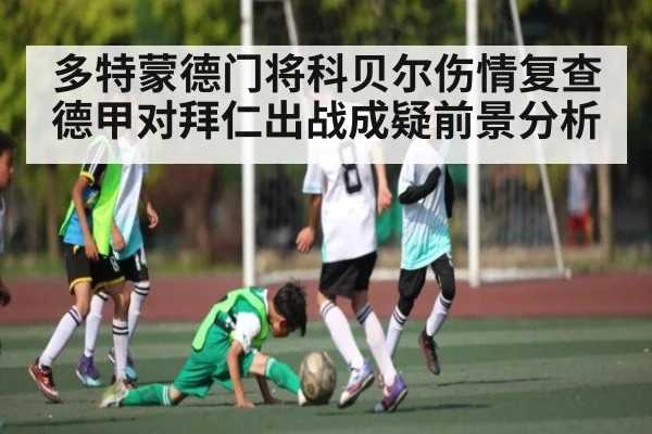 多特蒙德门将科贝尔伤情复查 德甲对拜仁出战成疑前景分析
